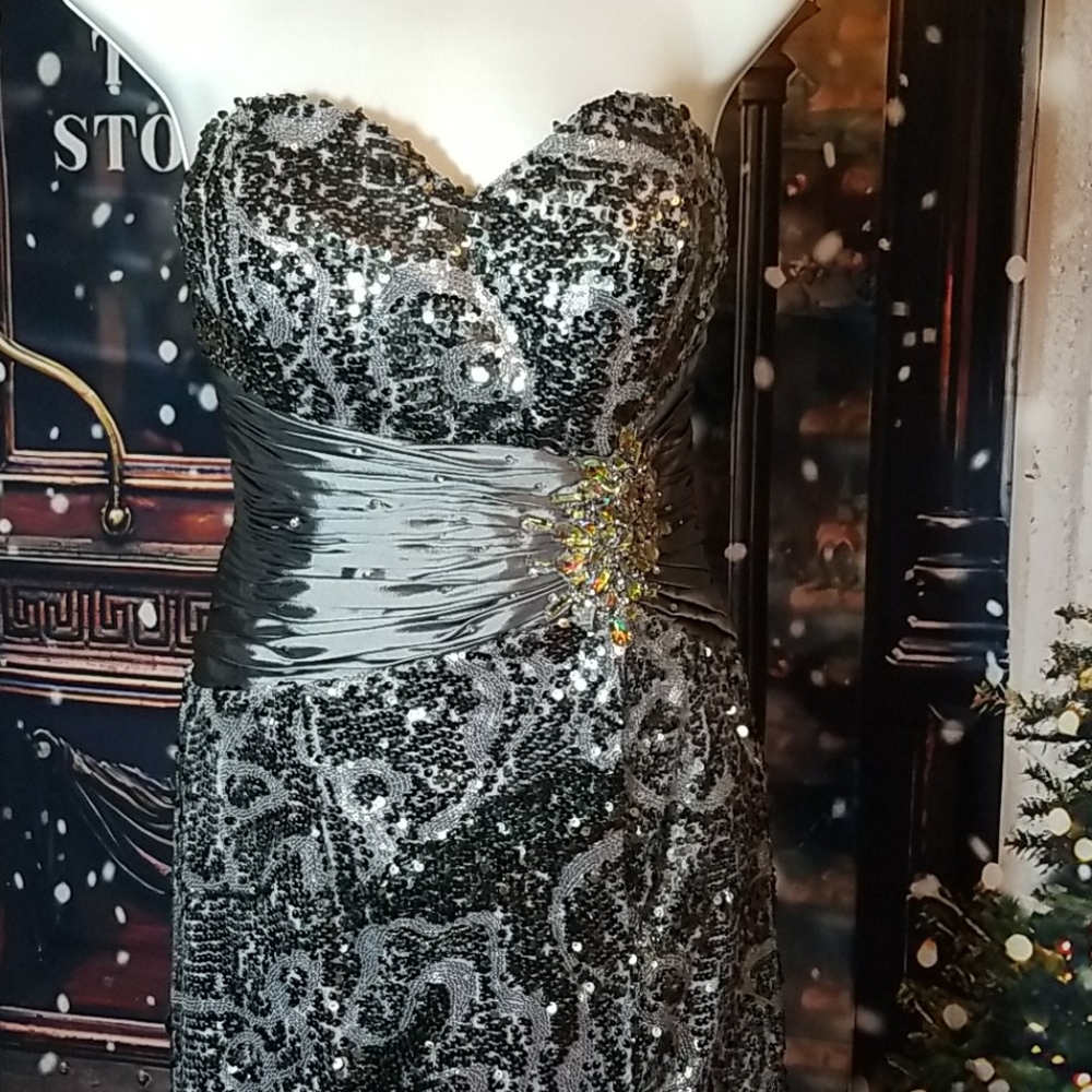 Silver Sequin gown with Satin Cinched Waist and Cr